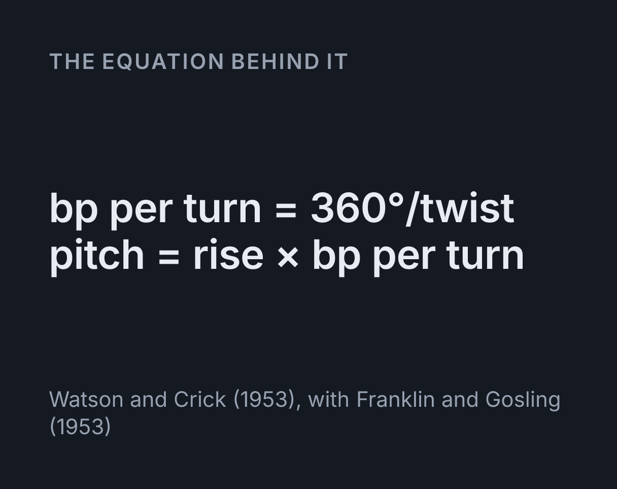 DNA Double Helix Explorer: the equation bp per turn = 360°/twist, pitch = rise × bp per turn.