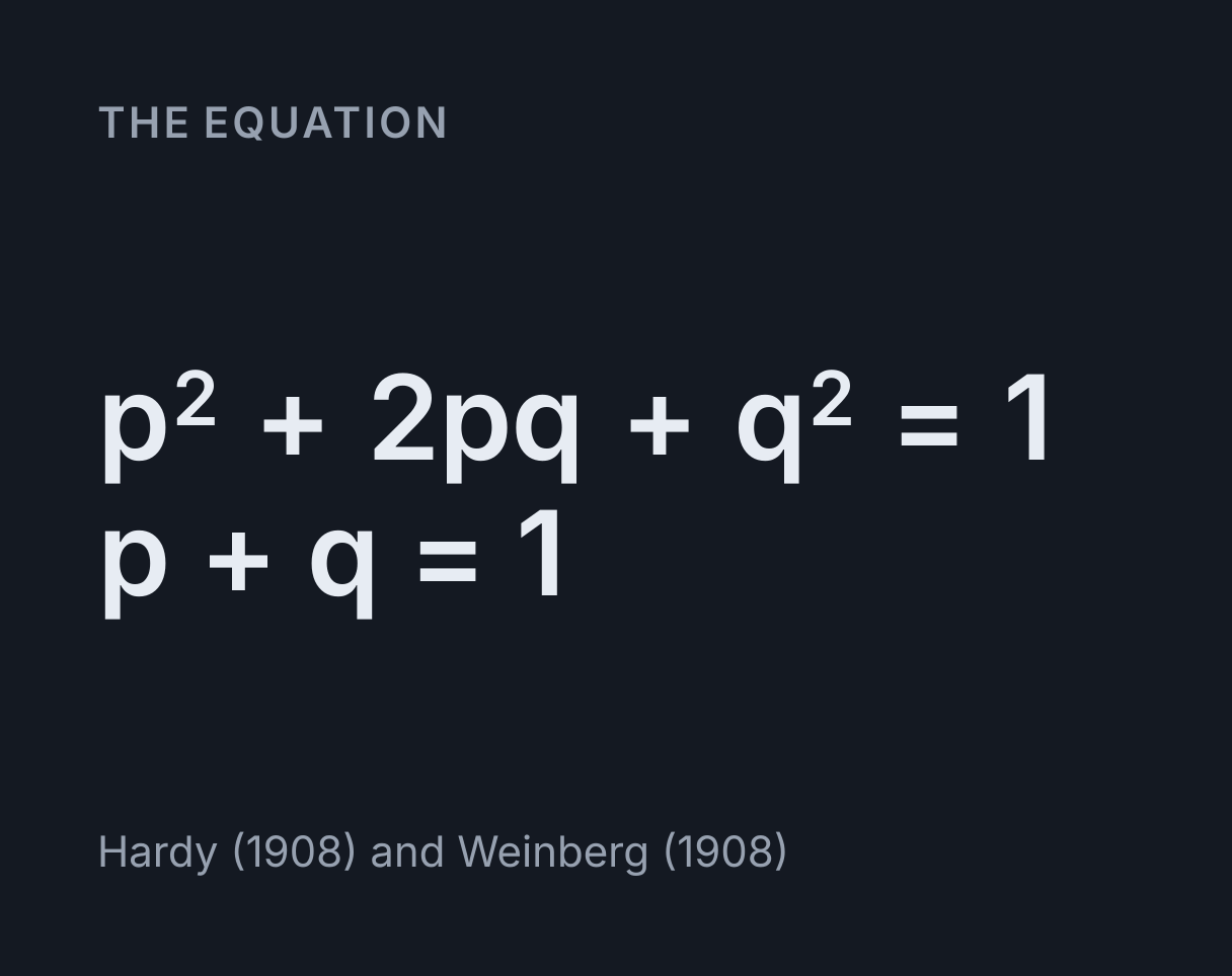 Hardy-Weinberg Calculator: the equation p² + 2pq + q² = 1, p + q = 1.
