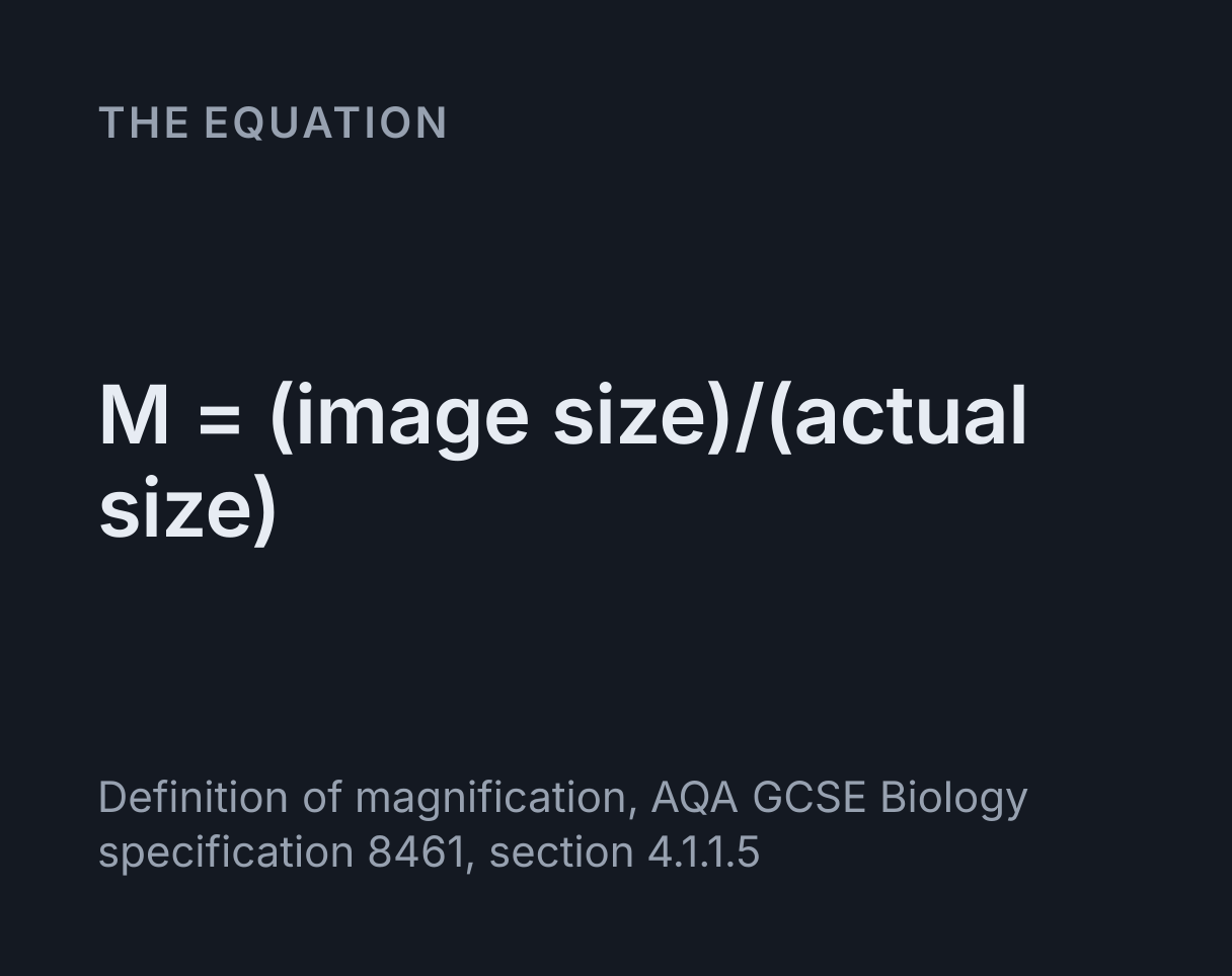 Microscope Magnification Calculator: the equation M = (image size)/(actual size).