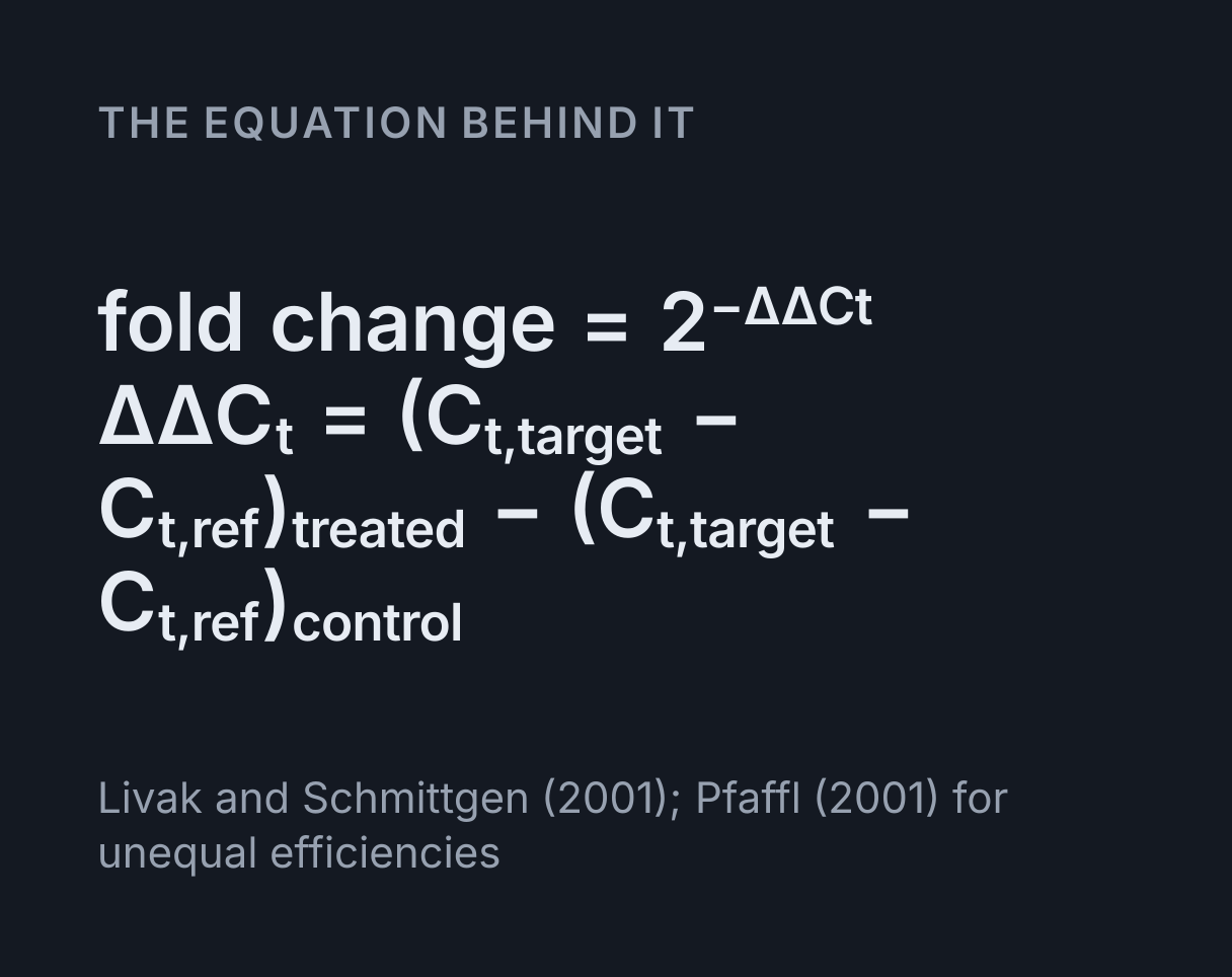 qPCR and ΔΔCt Simulator: the equation fold change = 2^(-ΔΔC t), ΔΔC t = (C t,target - C t,ref) treated - (C t,target - C t,ref) control.