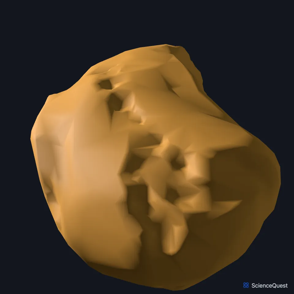 The navicular bone of the right foot on its own, seen from the medial side, its tuberosity towards you.