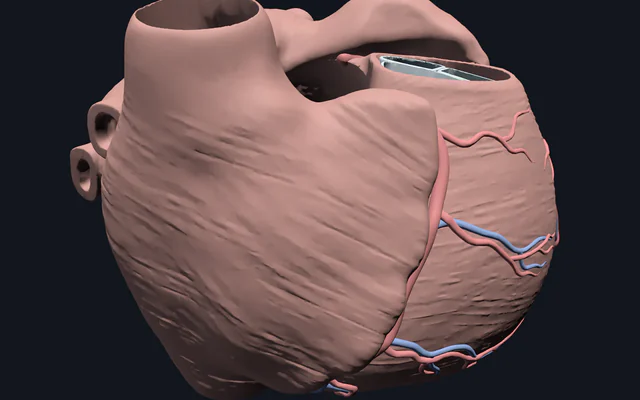 Biology Simulators, Clinical Calculators and 3D Anatomy